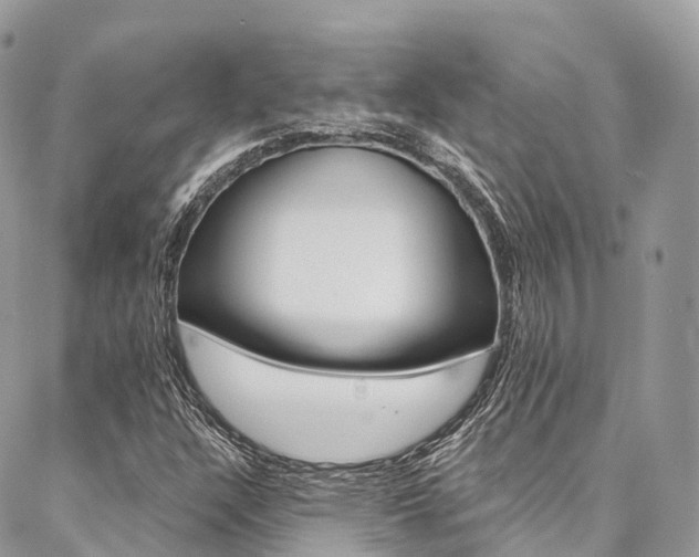 X0000087341304200704200735