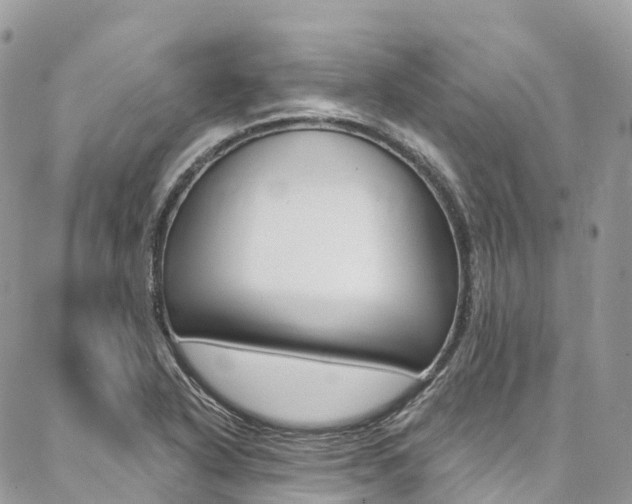X0000087341318200704200735