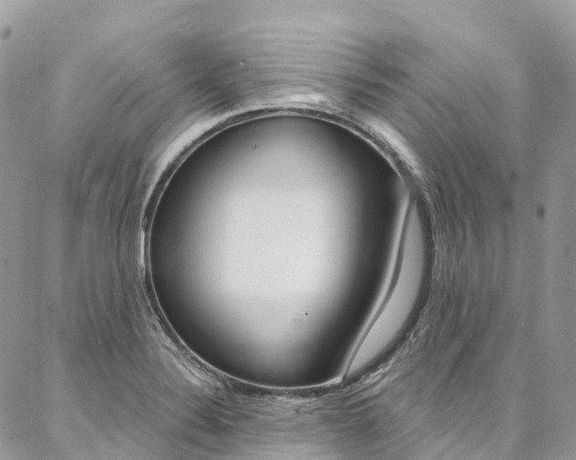 X0000087341324200704200736