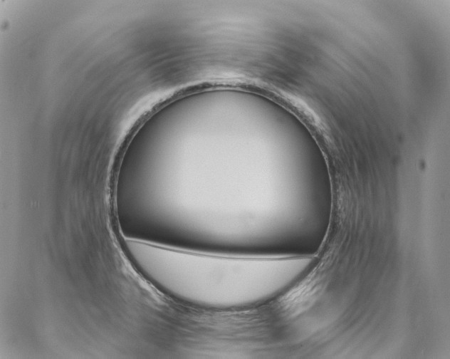 X0000087341327200704200736