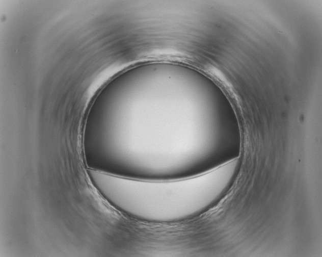 X0000087341336200704200736