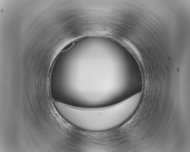 X0000087341340200704200736
