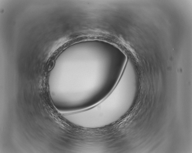 X0000087341352200704200735