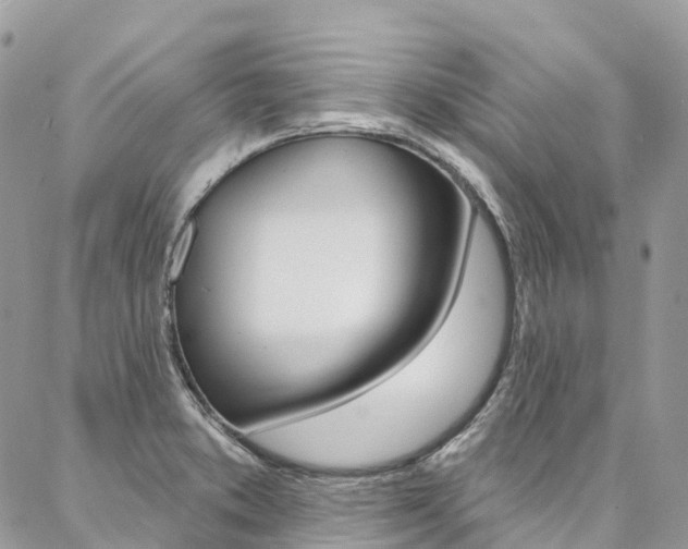 X0000087341373200704200735