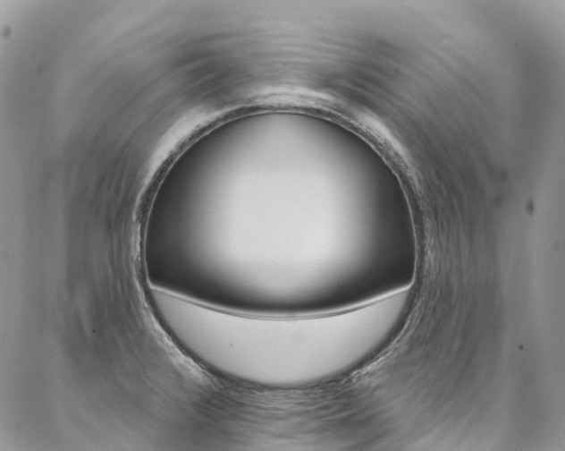 X0000087341376200704200735