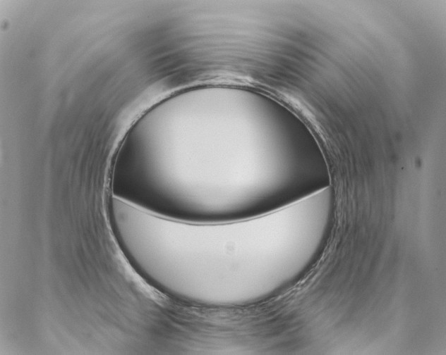 X0000087341379200704200735