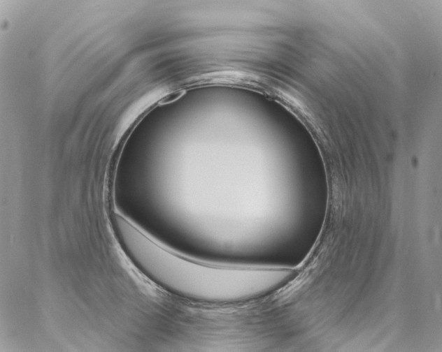 X0000087341426200704200734