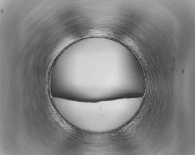 X0000087341427200704200734