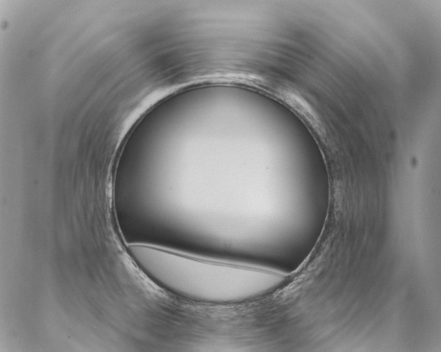 X0000087341428200704200734