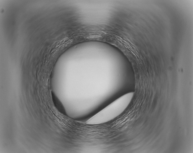 X0000087341441200704200734
