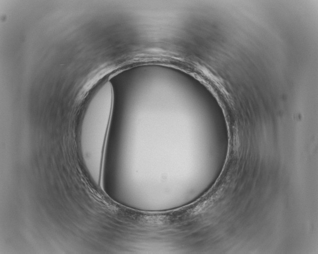 X0000087341453200704200733