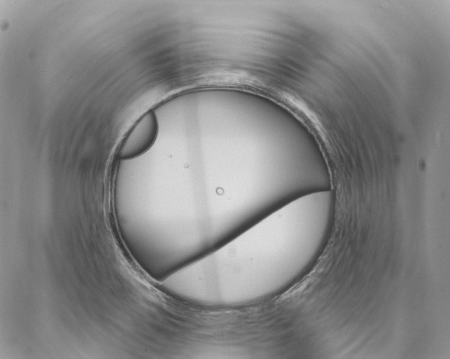 X0000087341467200704200733