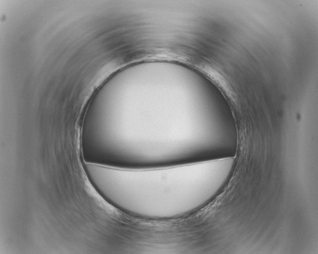 X0000087341476200704200733