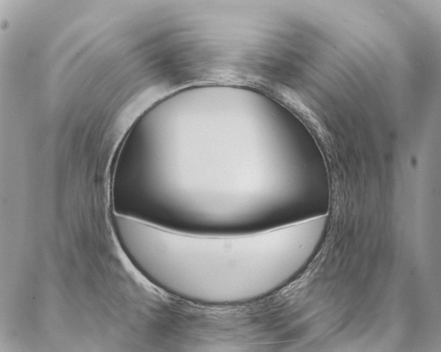 X0000087341479200704200733