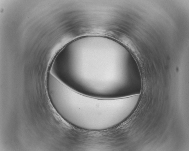 X0000087341480200704200733