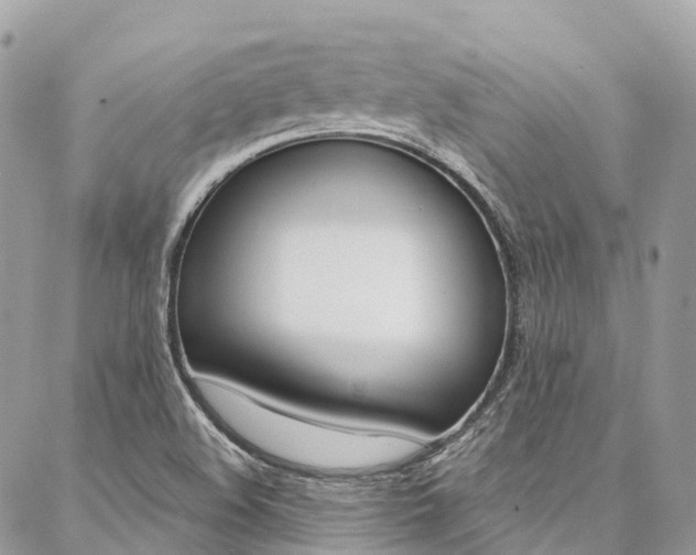 X0000087341508200704200732