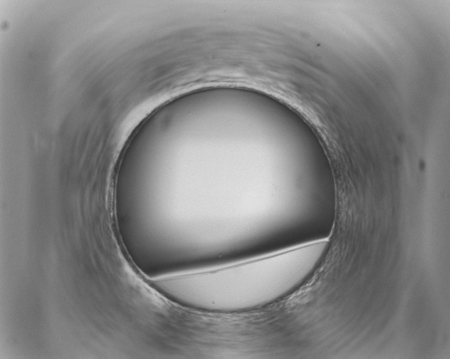 X0000087341527200704200733