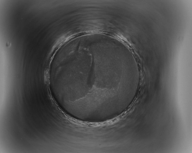 X0000087340002200704201153