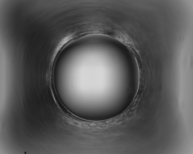 X0000087340003200704201153
