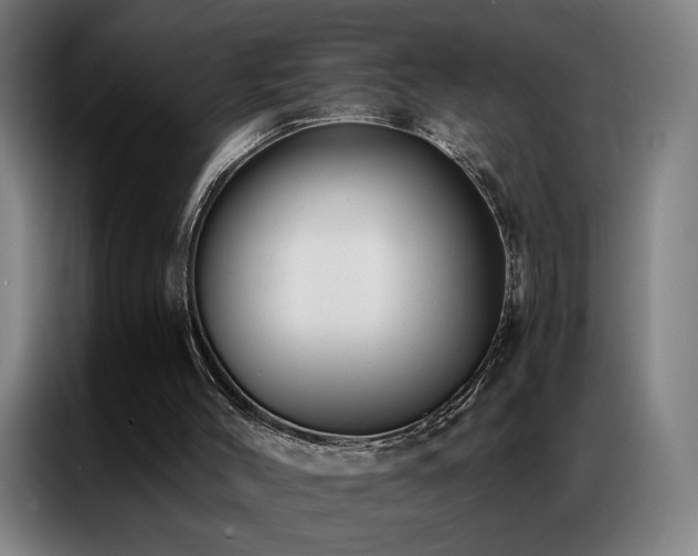 X0000087340004200704201153