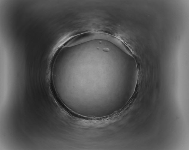 X0000087340005200704201153