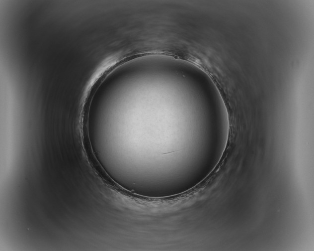 X0000087340006200704201153