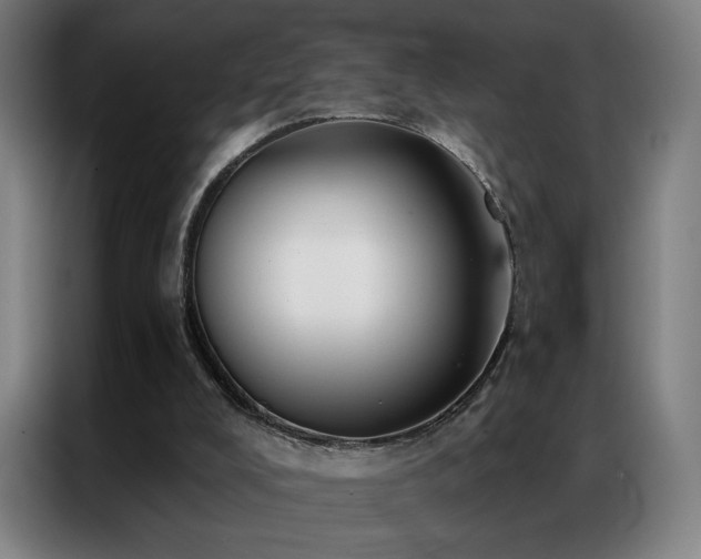 X0000087340008200704201153