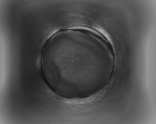 X0000087340009200704201153