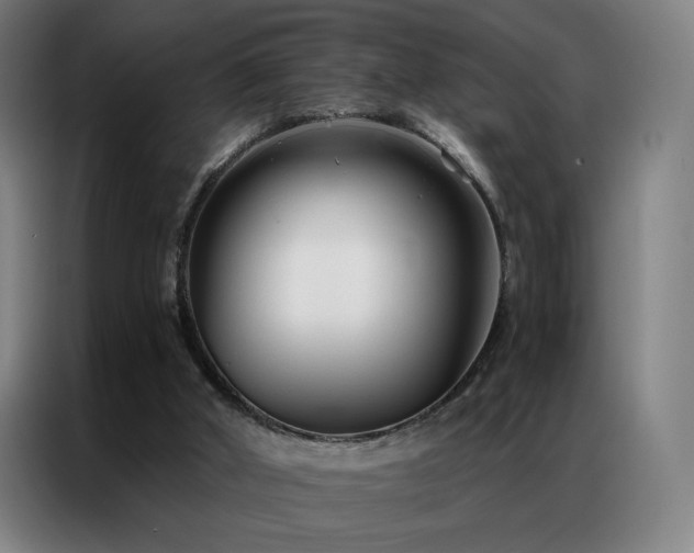 X0000087340010200704201153