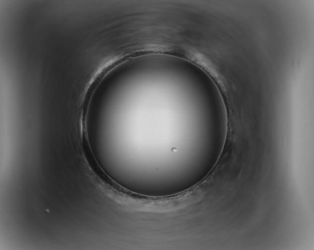 X0000087340011200704201153