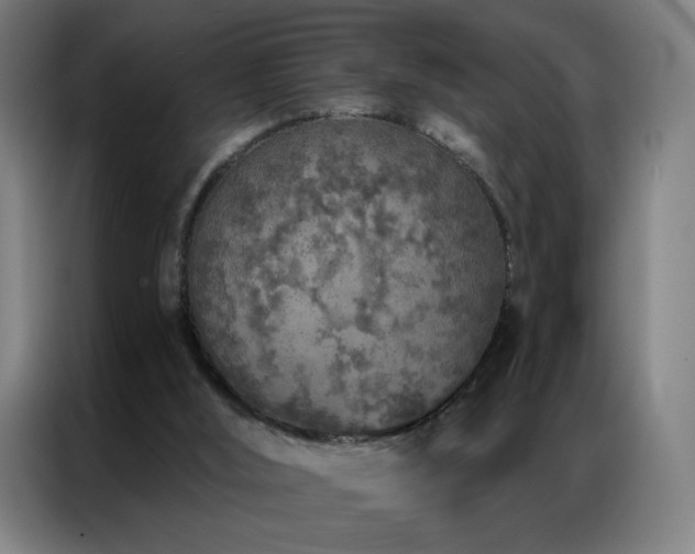 X0000087340012200704201153