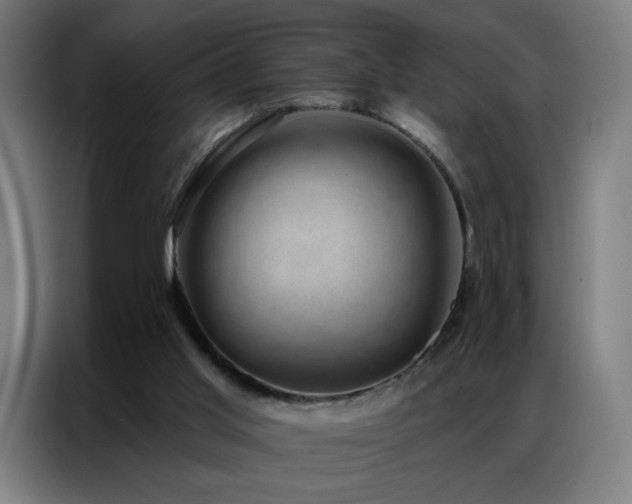 X0000087340013200704201153