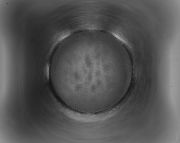 X0000087340014200704201153
