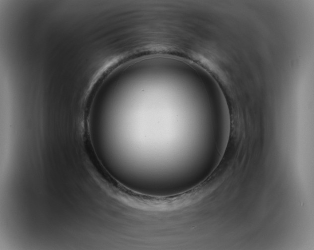 X0000087340015200704201153