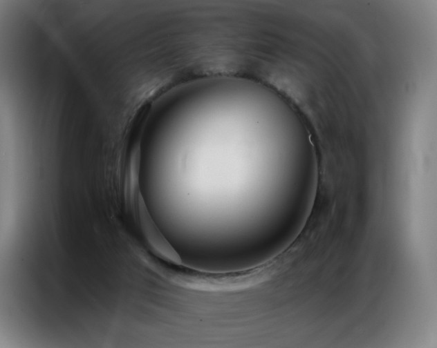 X0000087340017200704201153