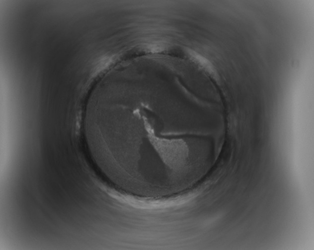 X0000087340018200704201153