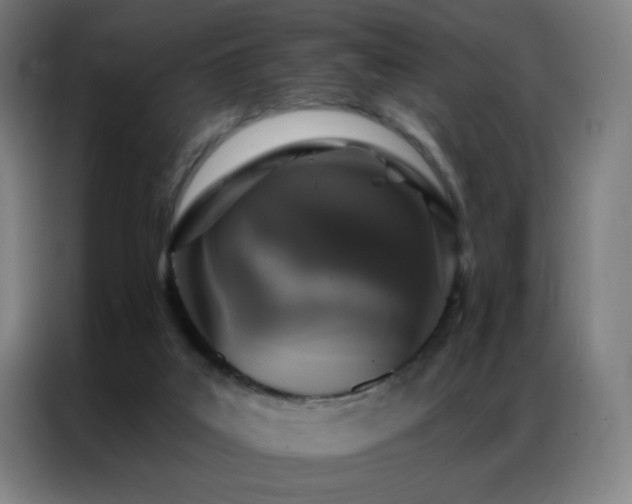 X0000087340019200704201153