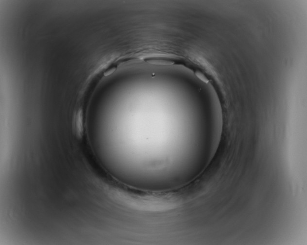 X0000087340020200704201153