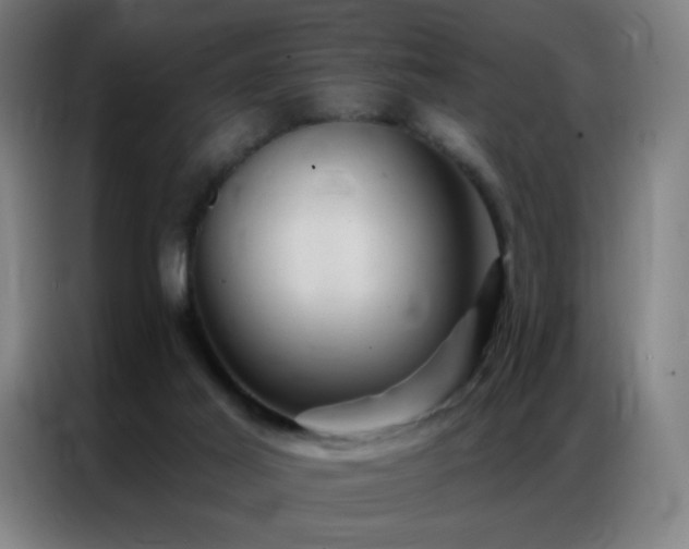 X0000087340021200704201153