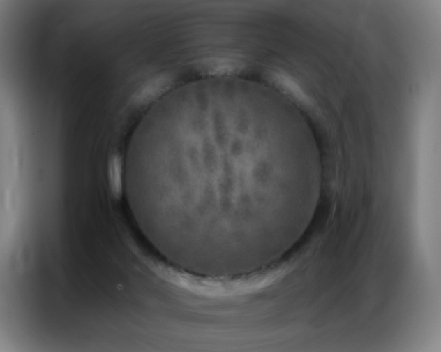 X0000087340022200704201153