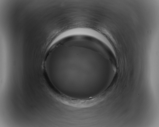 X0000087340023200704201153