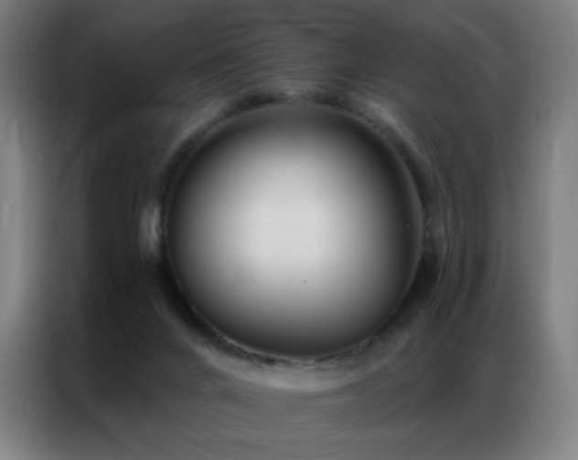 X0000087340024200704201153