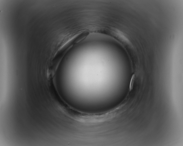 X0000087340025200704201153