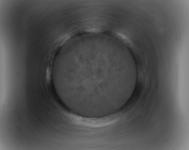 X0000087340026200704201153