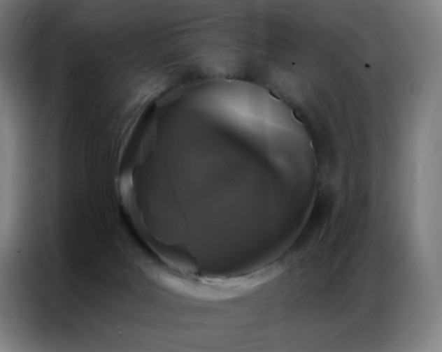 X0000087340027200704201153
