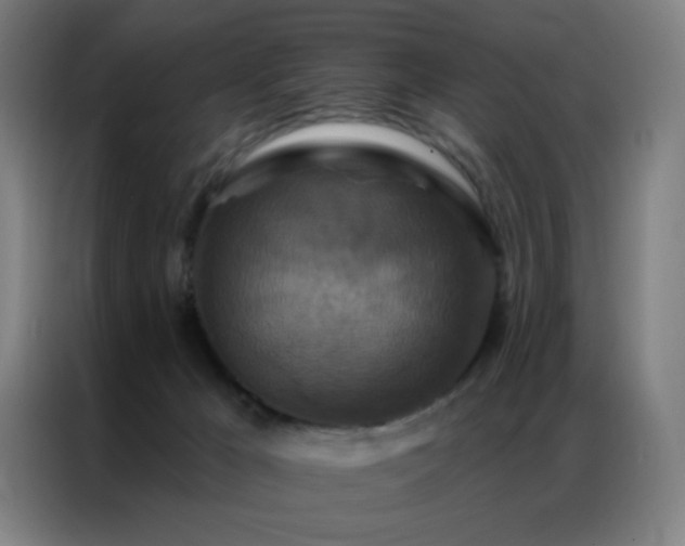 X0000087340029200704201153