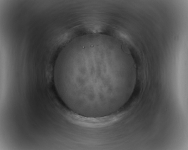 X0000087340030200704201153