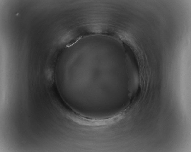 X0000087340031200704201153