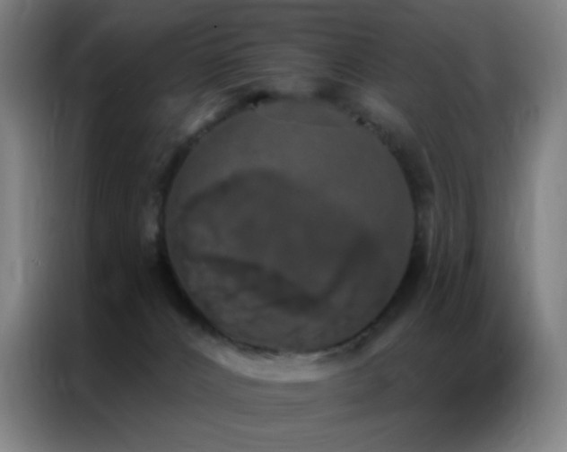 X0000087340032200704201153