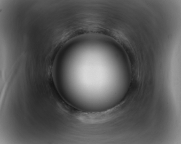 X0000087340033200704201153